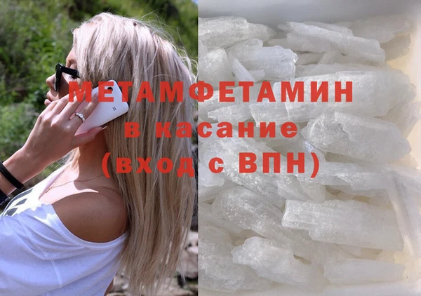 хмурый Пересвет