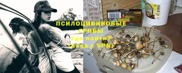 амф Алексин