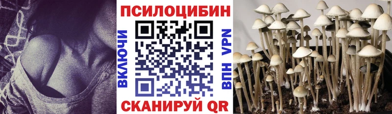 Галлюциногенные грибы мицелий это формула Тогучин